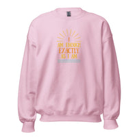 I AM ENOUGH EXACTLY AS I AM Vintage Inspirational Mental Health Sweatshirt for Women | I Am Enough Collection