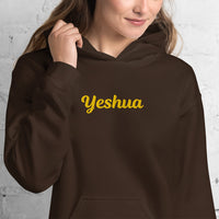 YESHUA Hoodie - Spiritual Empowerment Apparel - Unisex - Faith-Based Streetwear | I Am Enough Collection