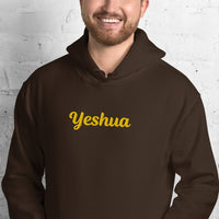 YESHUA Hoodie - Spiritual Empowerment Apparel - Unisex - Faith-Based Streetwear | I Am Enough Collection