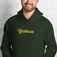 YESHUA Hoodie - Spiritual Empowerment Apparel - Unisex - Faith-Based Streetwear | I Am Enough Collection