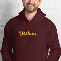 YESHUA Hoodie - Spiritual Empowerment Apparel - Unisex - Faith-Based Streetwear | I Am Enough Collection