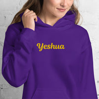 YESHUA Hoodie - Spiritual Empowerment Apparel - Unisex - Faith-Based Streetwear | I Am Enough Collection