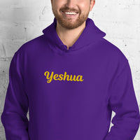 YESHUA Hoodie - Spiritual Empowerment Apparel - Unisex - Faith-Based Streetwear | I Am Enough Collection