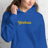 YESHUA Hoodie - Spiritual Empowerment Apparel - Unisex - Faith-Based Streetwear | I Am Enough Collection